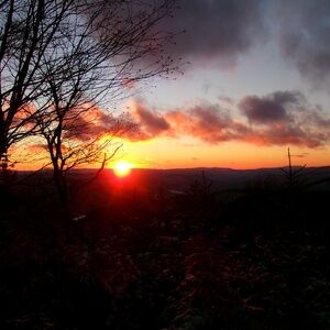 Meet your Posher, Hadley